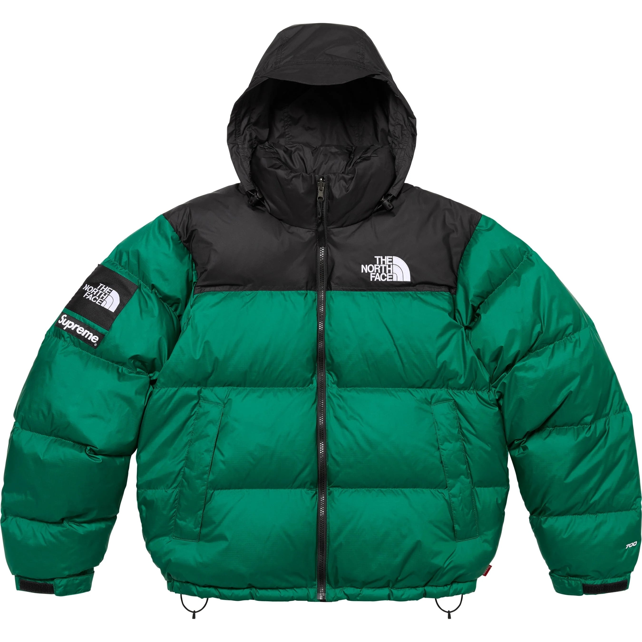 Supreme®/The North Face® Nuptse Jacket view 10